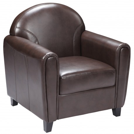 Presidential Collection Brown Leather Chair